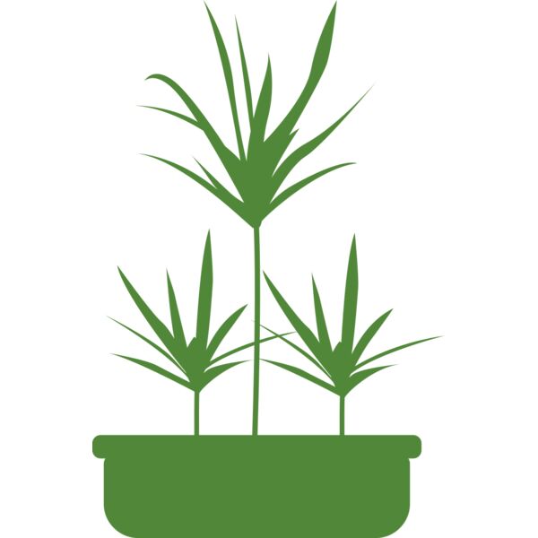 Plants 5 Thumbnail